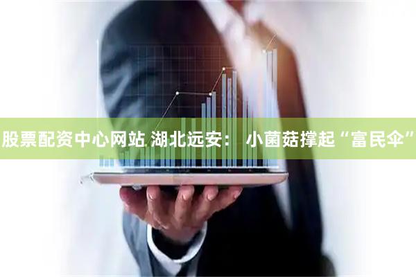 股票配资中心网站 湖北远安： 小菌菇撑起“富民伞”
